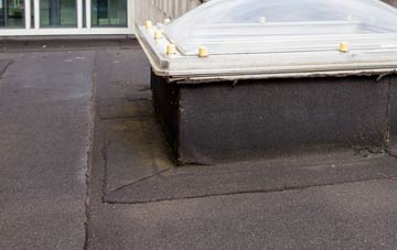 disadvantages of Hoggington flat roofs