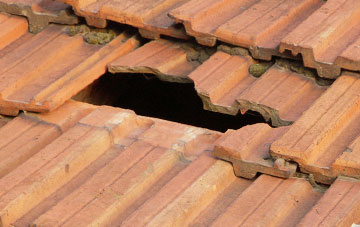 roof repair Hoggington, Wiltshire