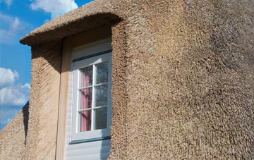 Hoggington thatch roof disadvantages